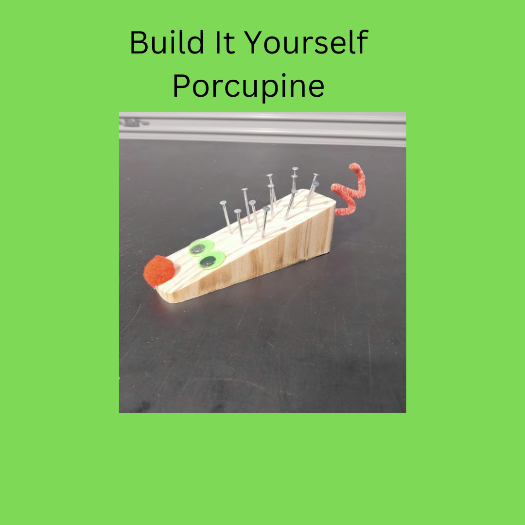 Build It Yourself Porcupine