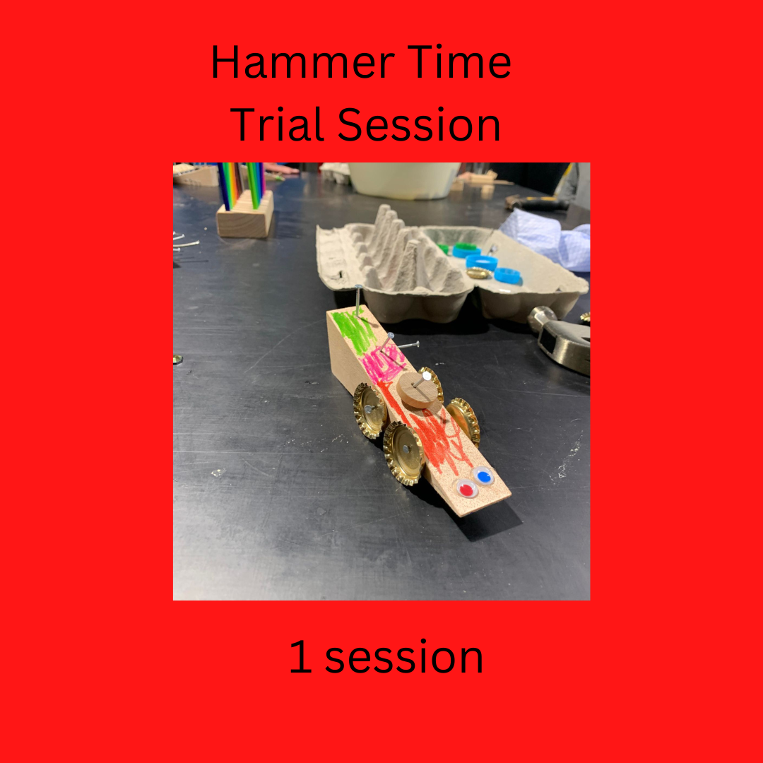 Term 2 Hammer time Trial Session