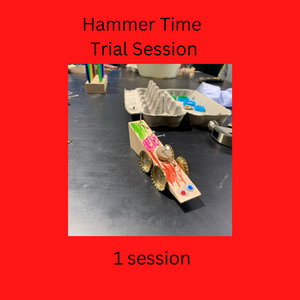 Term 2 Hammer time Trial Session